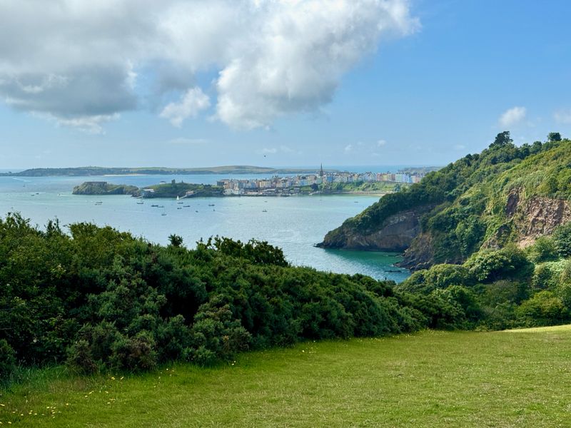 Sloping pastureland leading to a hedge. Beyond the hedge the bay and the village of Tenby can be seen