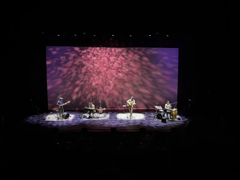 The full band performing under a pink and magenta backdrop with a soft cloud-like texture — bassist, pedal steel player, the frontman on acoustic guitar at centre stage, and a drummer on the right, each on their own spotlit rug.