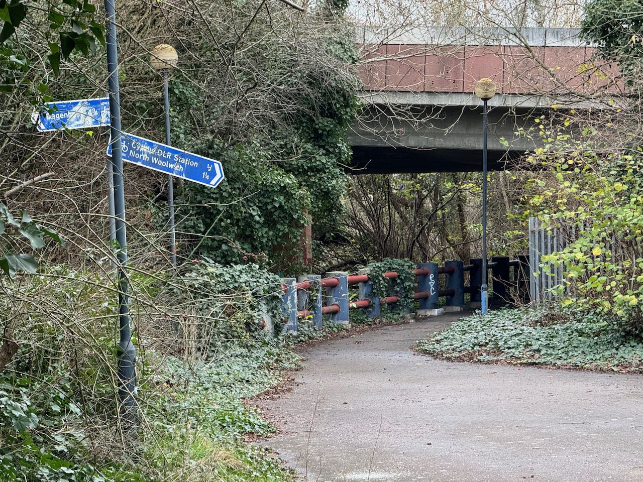 Wooded path leading under a bridge with another path that branches off to the right