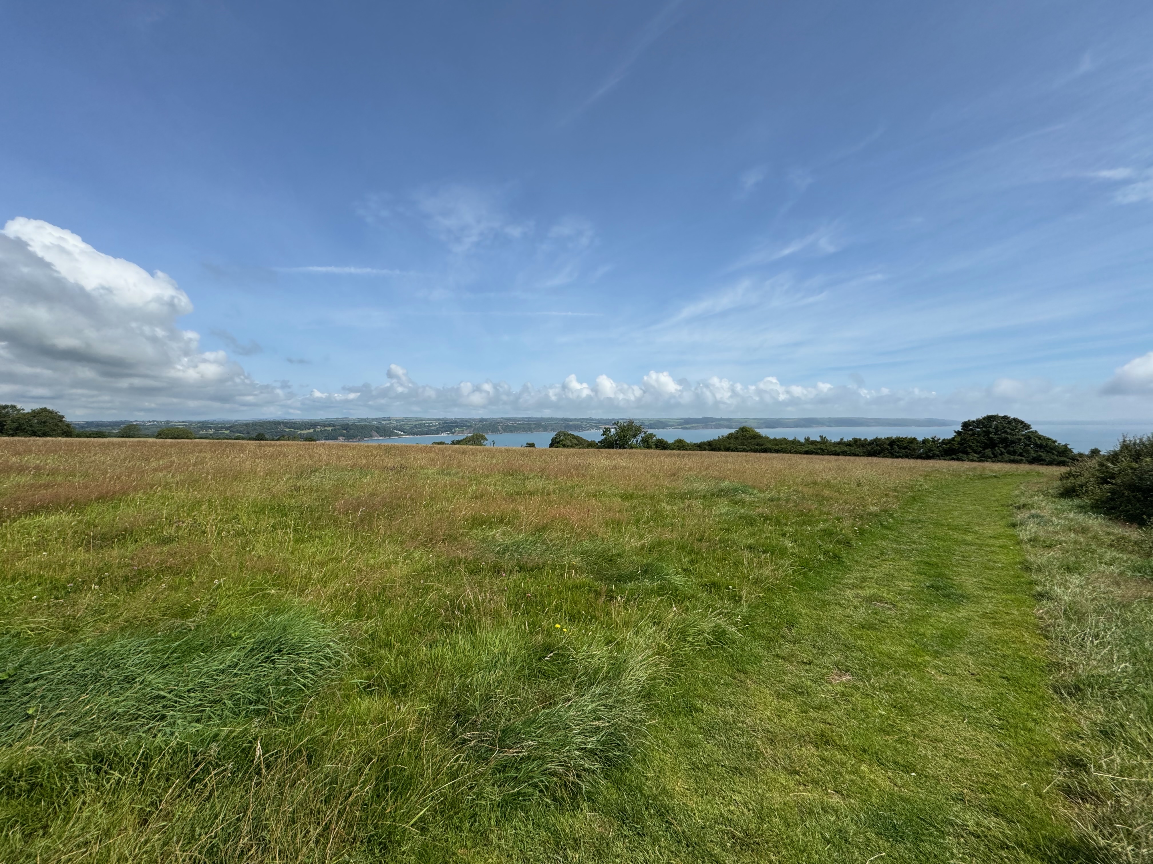 A field in front with the trail along the right and in the distance the land rolls off showing the water and beyond the coastline.