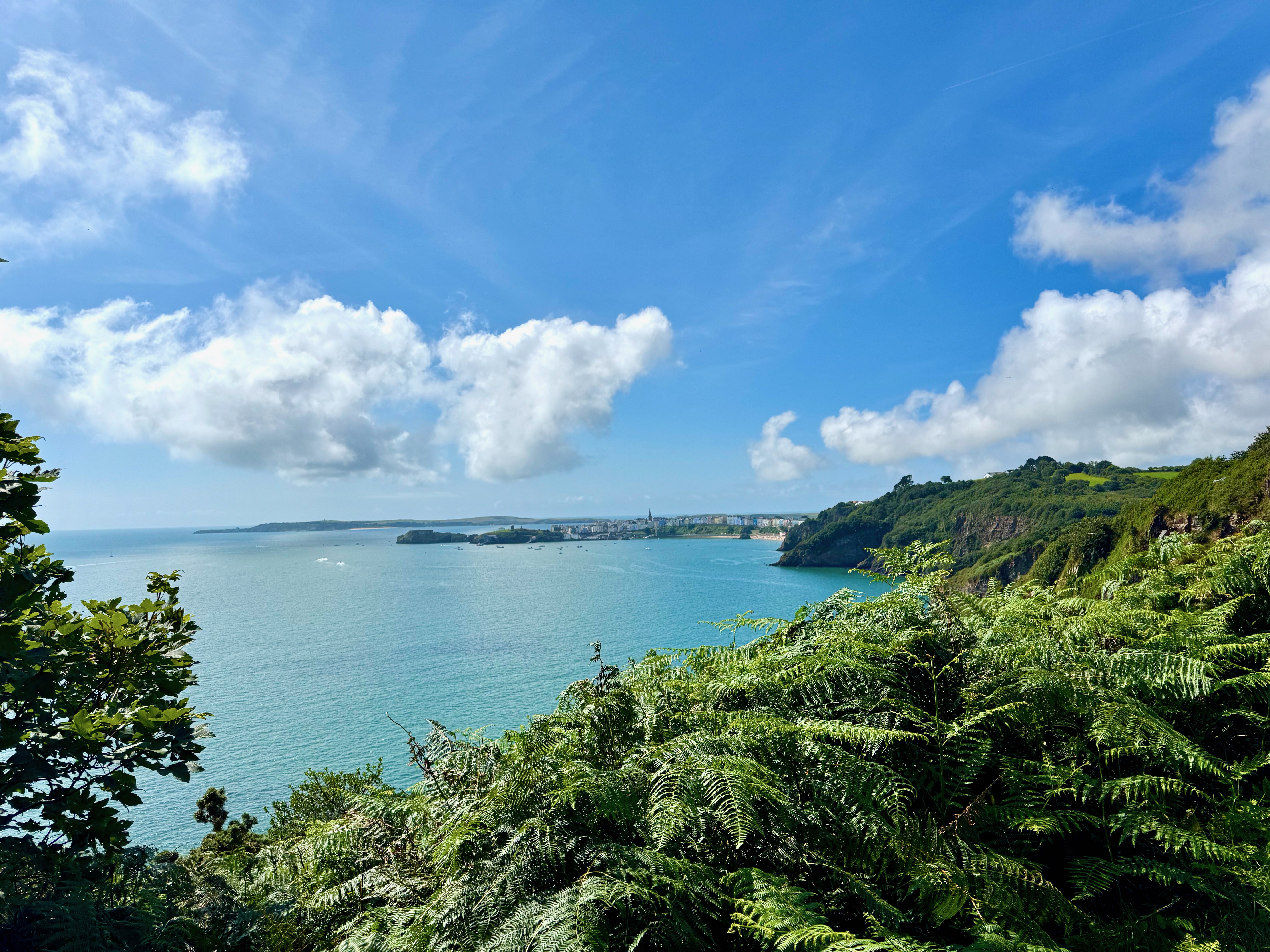 A break in the coverage allows for a closer view of Tenby over the water. Ferns growing in the foreground.