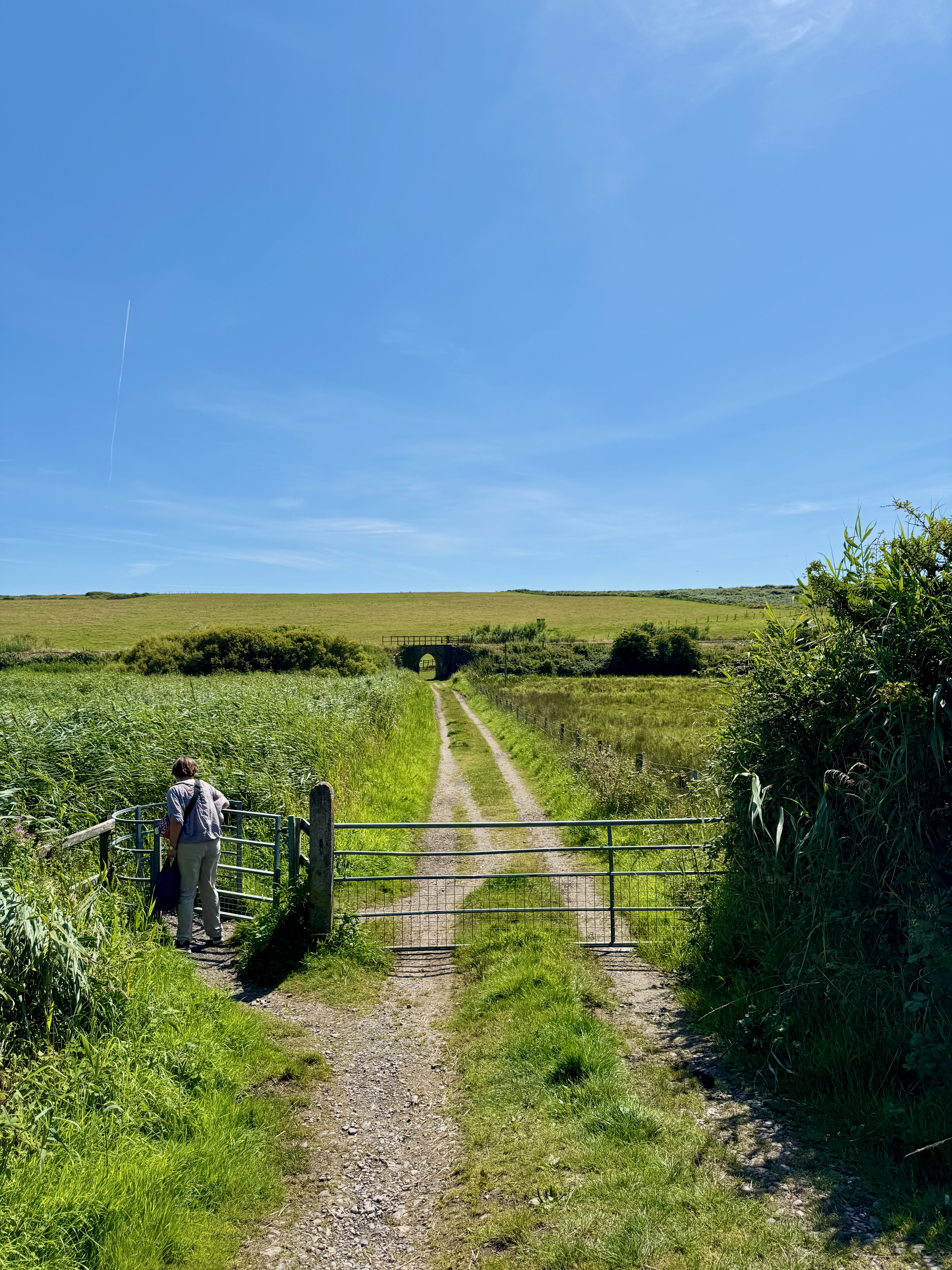 A farm road with a gate acrossed it leading off into a field