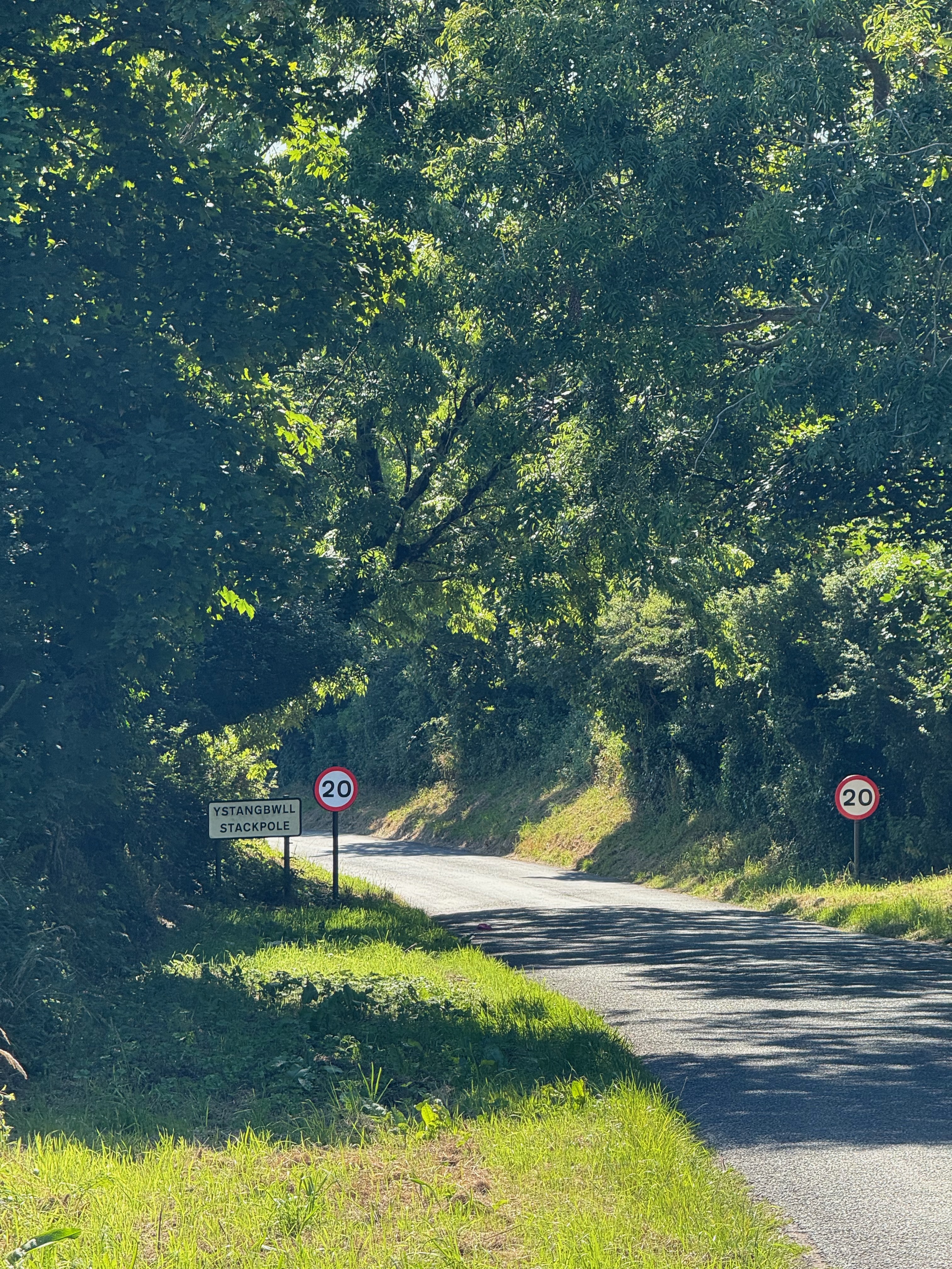 Road leading into Stackpool. The road is covered by trees and there's a sign for Stackpool